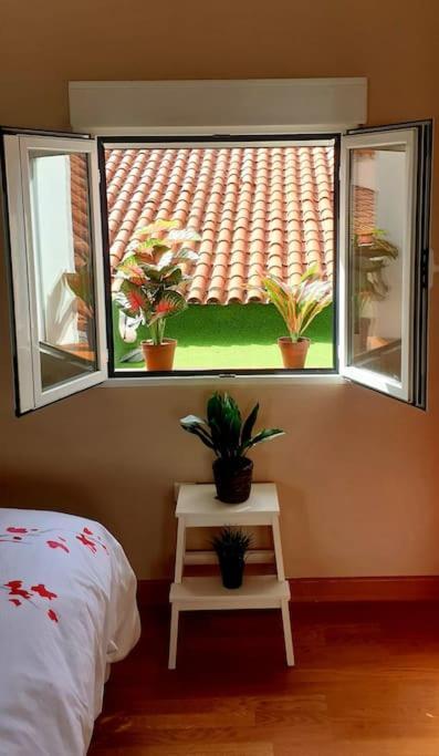 Precioso Loft En Pleno Corazon De 巴利亚多利德 外观 照片